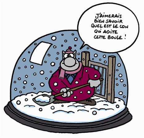Image d'illustration pour Neige et froid : vos questions et nos réponses