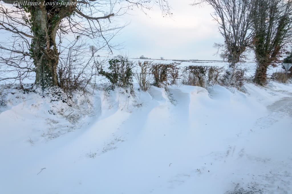 Image d'illustration pour Neige et froid : vos questions et nos réponses